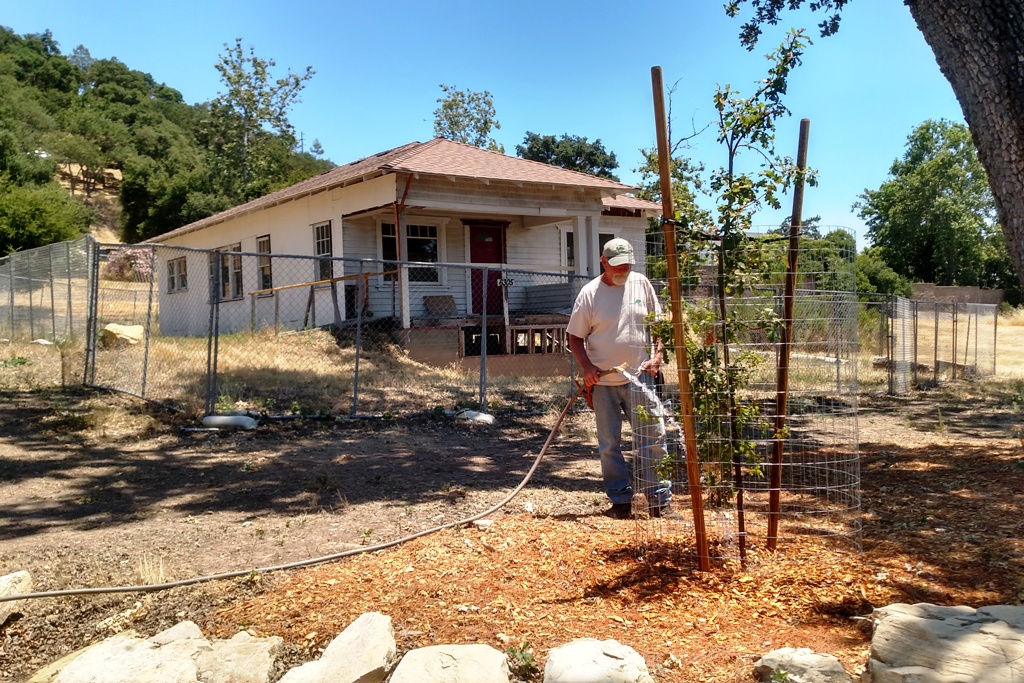 Watering at the Colony Heritage Center.